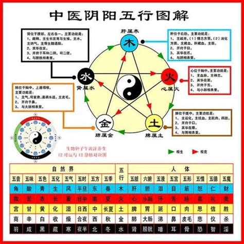 中醫五行屬性|中醫五行:基本概念,五行屬性及歸類,五行屬性歸類,五行。